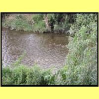 DSCN0296_s.jpg