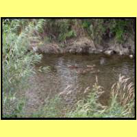 DSCN0297_s.jpg