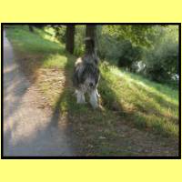 DSCN0320_s.jpg