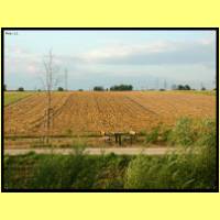 DSCN0325_s.jpg