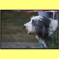 IMG_0069_s.jpg