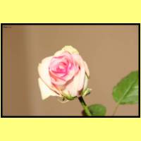 IMG_4857_s.jpg