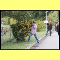 IMG_0260_s.jpg