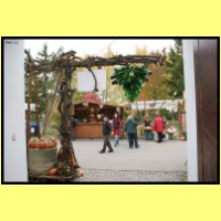 IMG_0322_s.jpg