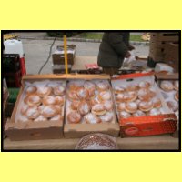 IMG_0354_s.jpg