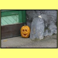 IMG_0384_s.jpg