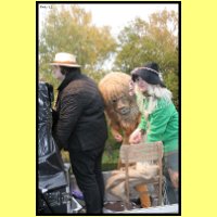 IMG_0442_s.jpg