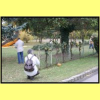 IMG_3674_s.jpg