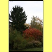 IMG_3680_s.jpg