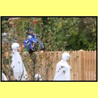 IMG_3733_s.jpg
