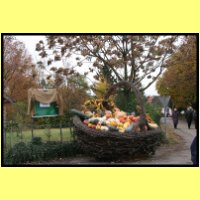 IMG_3736_s.jpg