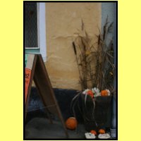 IMG_3751_s.jpg