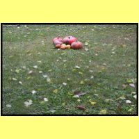 IMG_3764_s.jpg