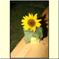 IMG_6965_s.jpg