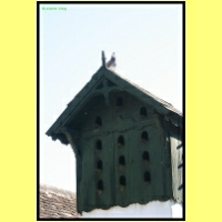 IMG_7986IL_s.jpg
