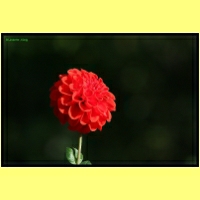 IMG_8655_s.jpg
