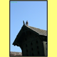 IMG_8661_s.jpg