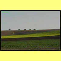 IMG_8778_s.jpg
