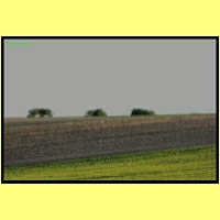IMG_8779_s.jpg