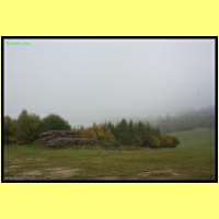 IMG_8964_s.jpg