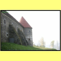 IMG_8976_s.jpg