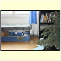IMG_1500_s.jpg
