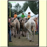 IMG_6249_s.jpg