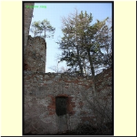 IMG_3235_s.jpg