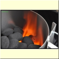 _235921._Grillen_s.jpg