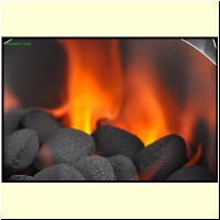 _235941._Grillen_s.jpg
