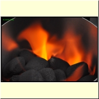 _235951._Grillen_s.jpg