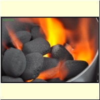 _235971._Grillen_s.jpg