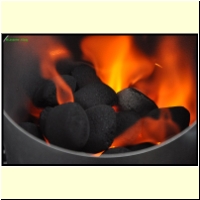 _235981._Grillen_s.jpg