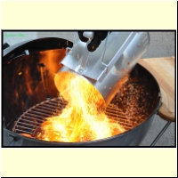 _236231._Grillen_s.jpg