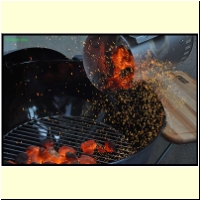 _236271._Grillen_s.jpg