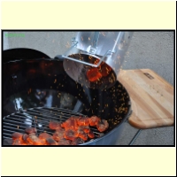 _236341._Grillen_s.jpg