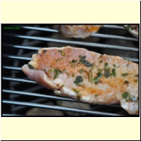 _236481._Grillen_s.jpg