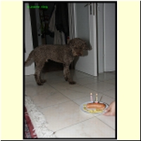 IMG_0565_s.jpg