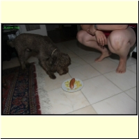 IMG_0578_s.jpg