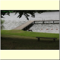 IMG_8385_s.jpg