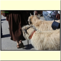IMG_9816_s.jpg