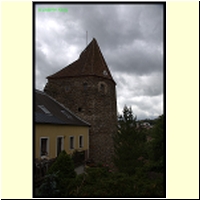 IMG_7802_s.jpg