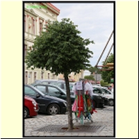 IMG_8092_s.jpg