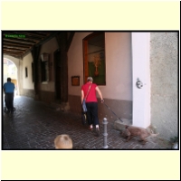IMG_9807_s.jpg