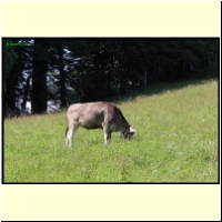 IMG_0336_s.jpg