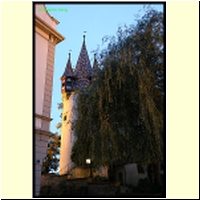 IMG_1529_s.jpg